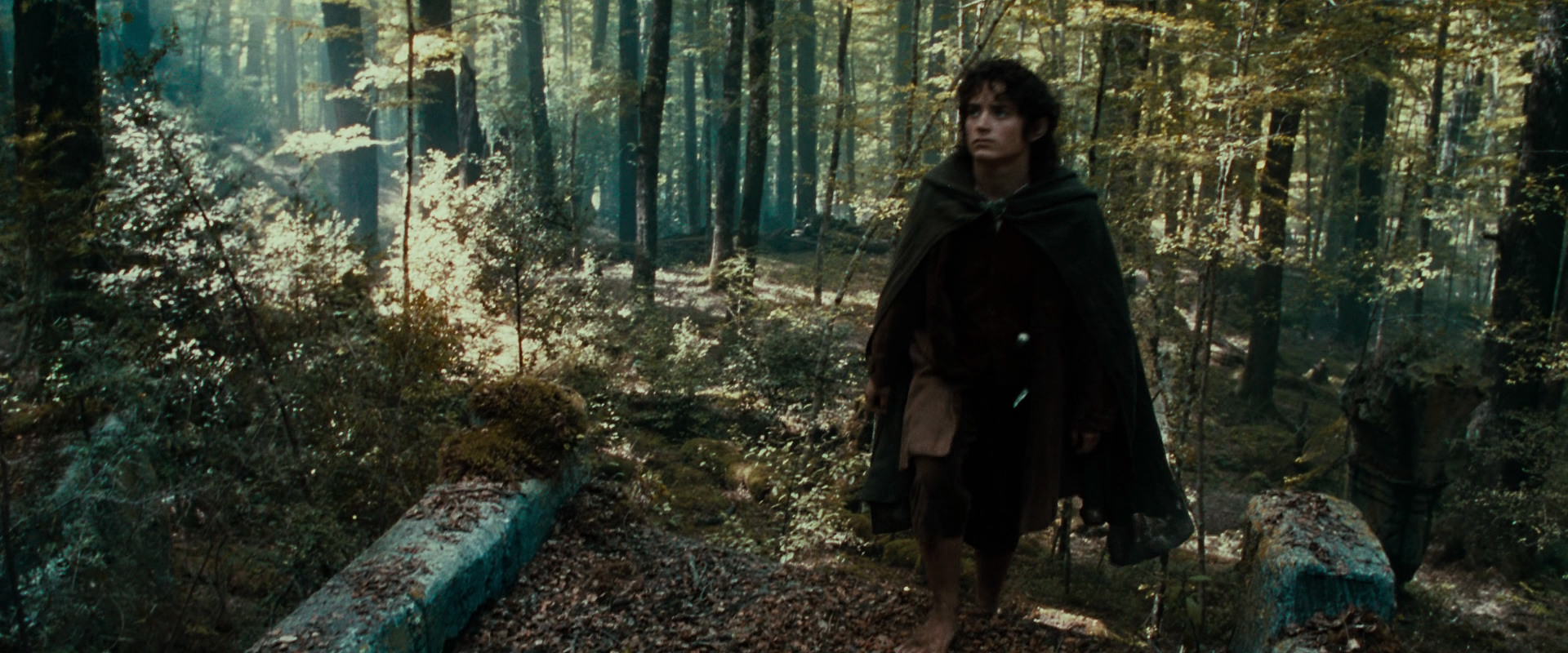 The Lord of the Rings: The Fellowship of the Ring (2001) HD screenshot 21284