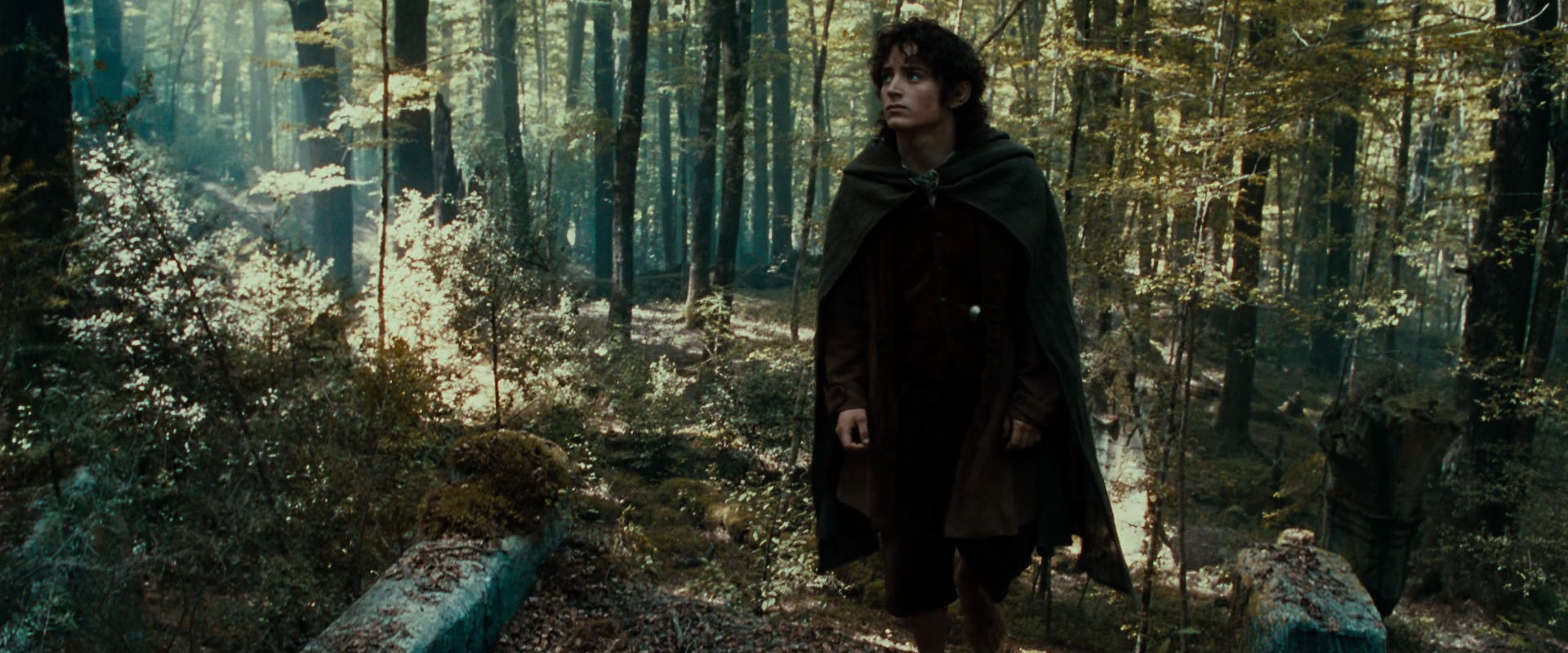 The Lord of the Rings: The Fellowship of the Ring (2001) screencap 21285