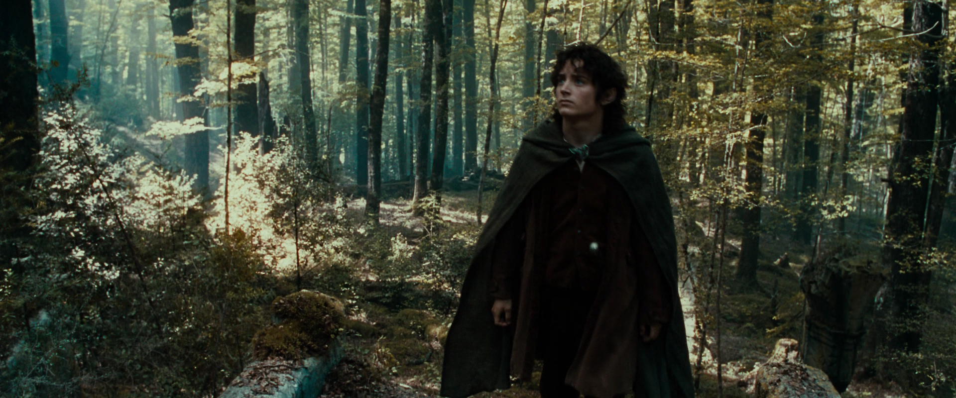 The Lord of the Rings: The Fellowship of the Ring (2001) movie still 21286