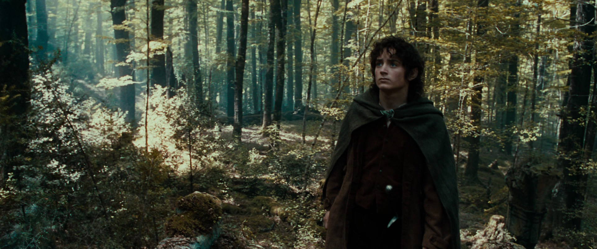 The Lord of the Rings: The Fellowship of the Ring (2001) HD screenshot 21287