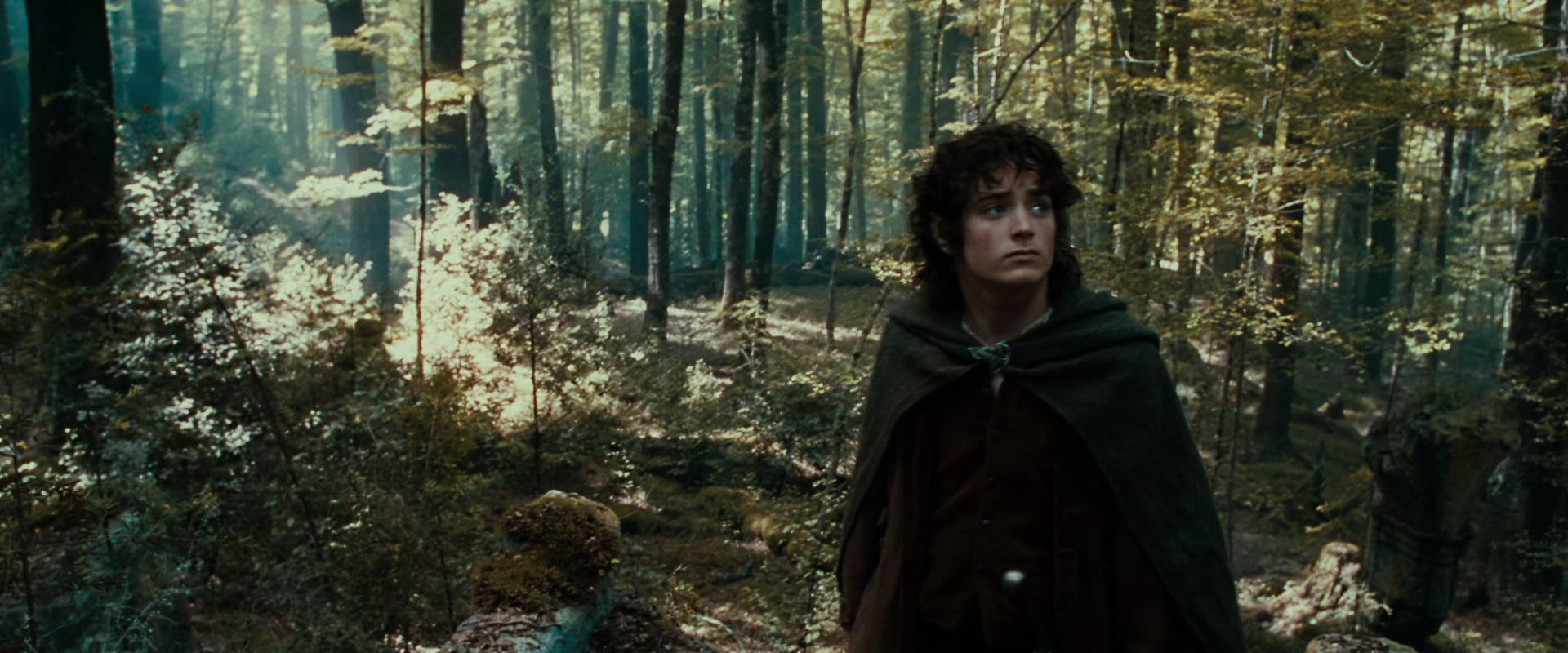 The Lord of the Rings: The Fellowship of the Ring (2001) screencap 21288