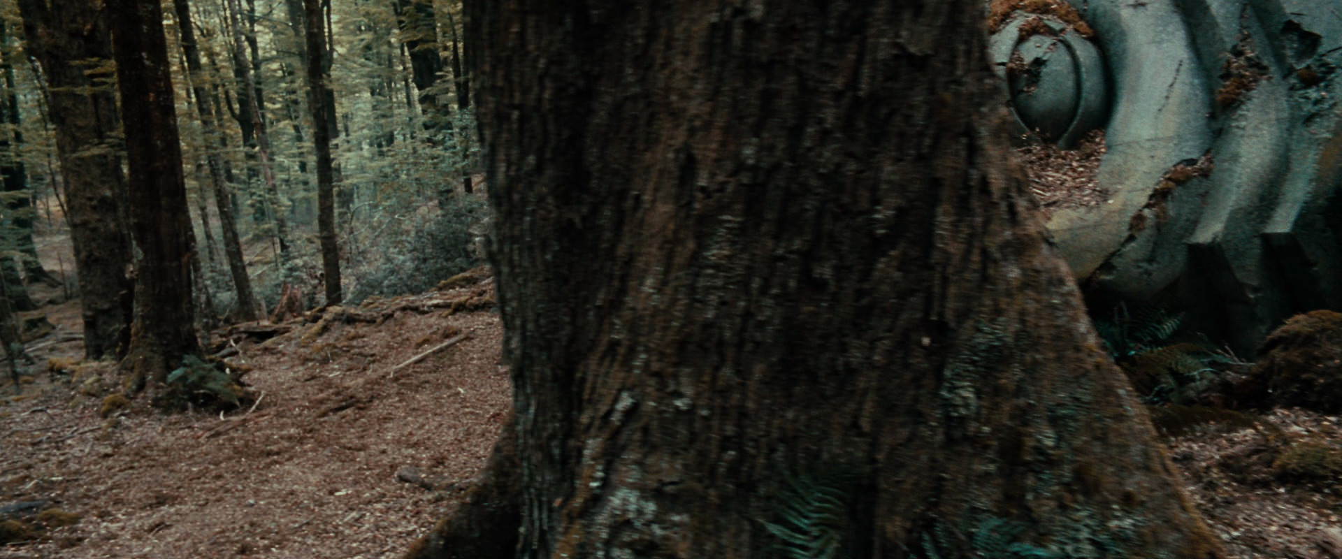 The Lord of the Rings: The Fellowship of the Ring (2001) movie still 21289