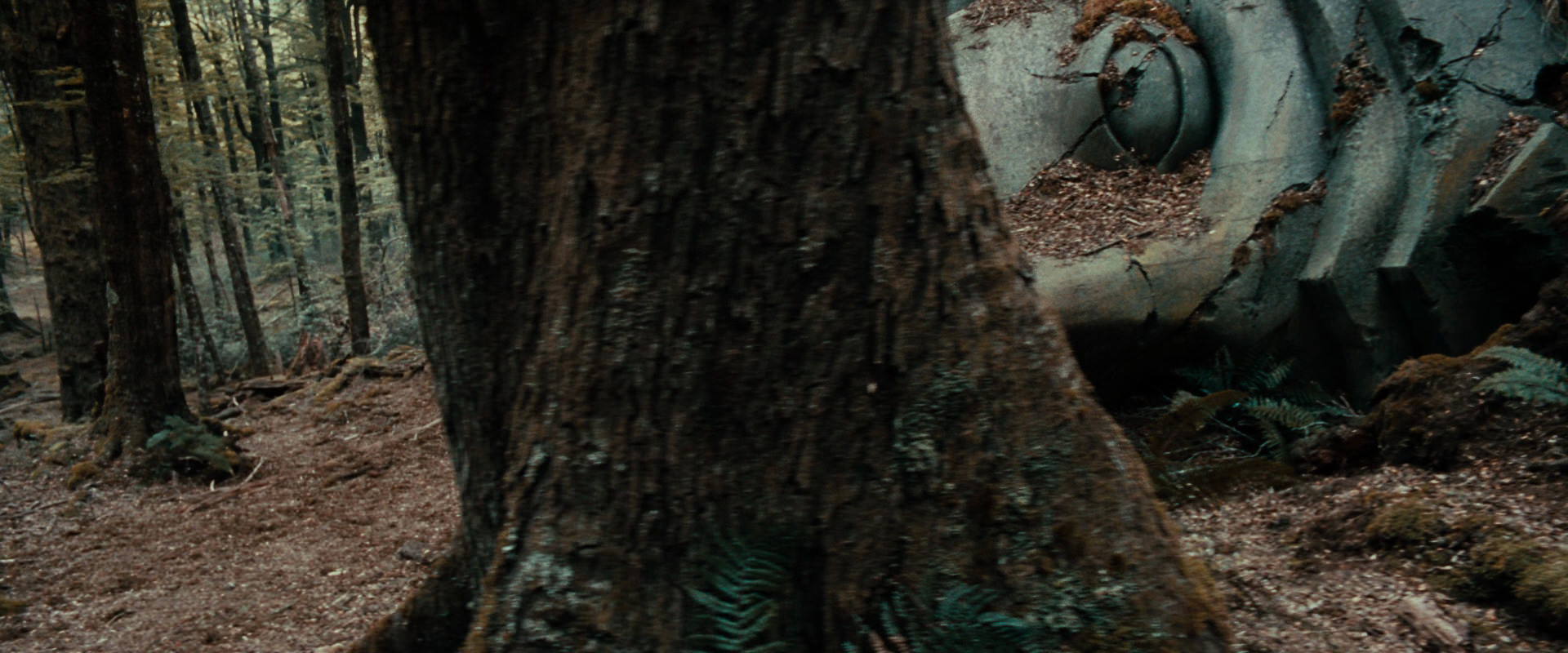 The Lord of the Rings: The Fellowship of the Ring (2001) HD screenshot 21290