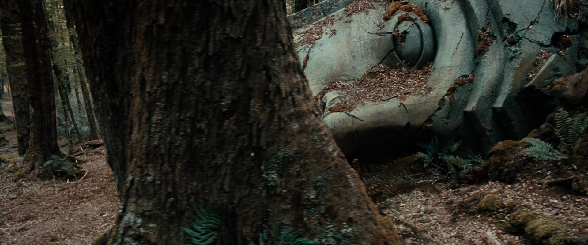 The Lord of the Rings: The Fellowship of the Ring (2001) screencap 21291
