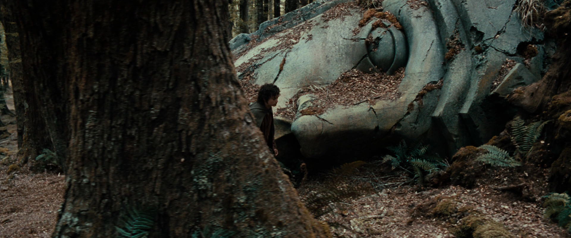 The Lord of the Rings: The Fellowship of the Ring (2001) movie still 21292