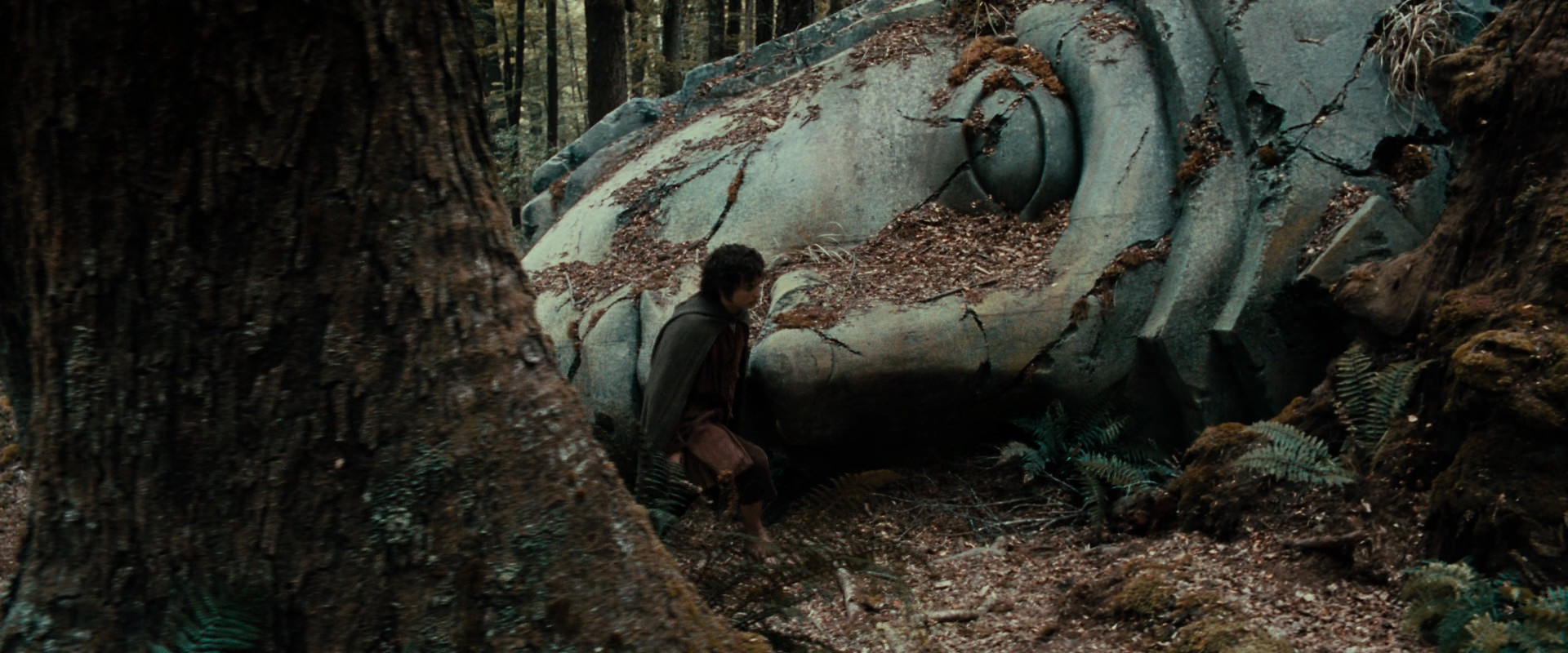 The Lord of the Rings: The Fellowship of the Ring (2001) HD screenshot 21293