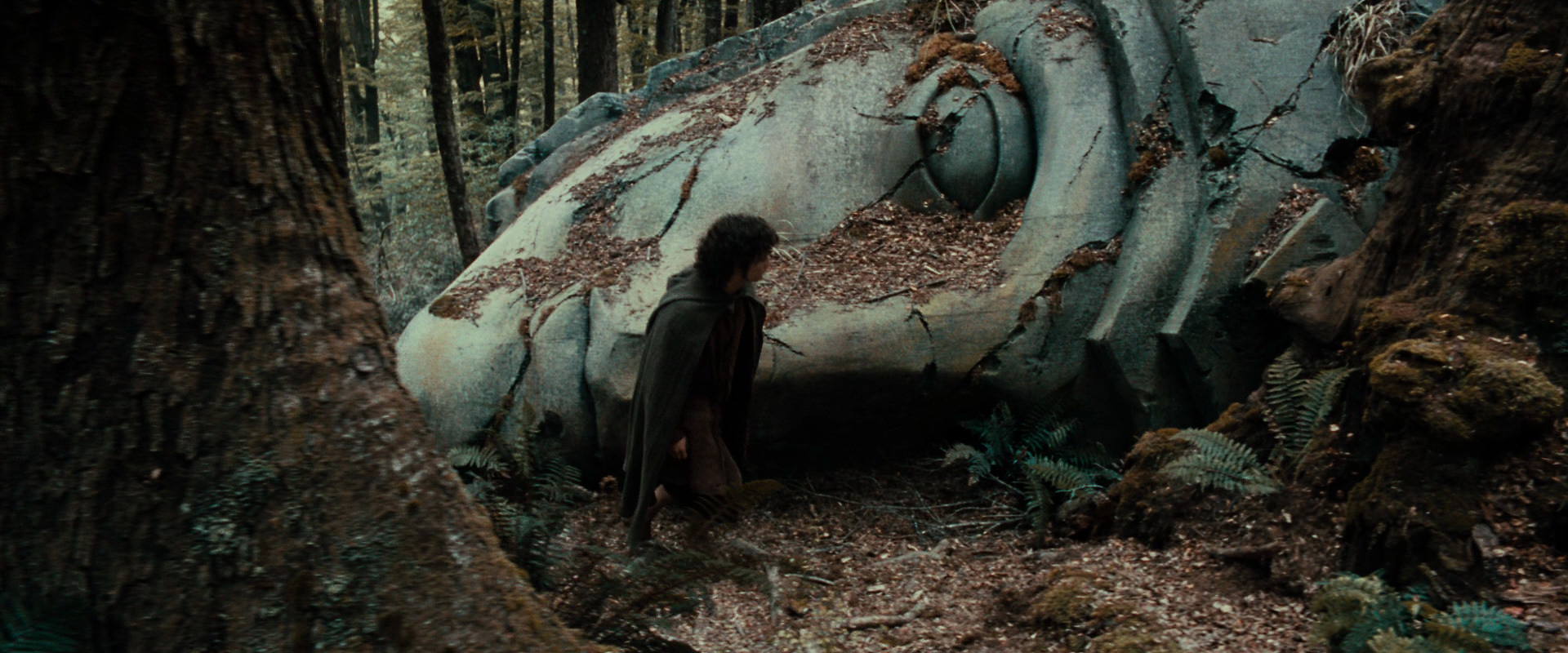 The Lord of the Rings: The Fellowship of the Ring (2001) screencap 21294