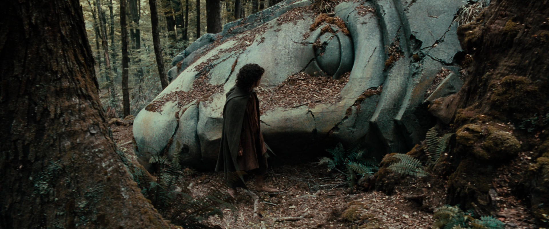 The Lord of the Rings: The Fellowship of the Ring (2001) movie still 21295