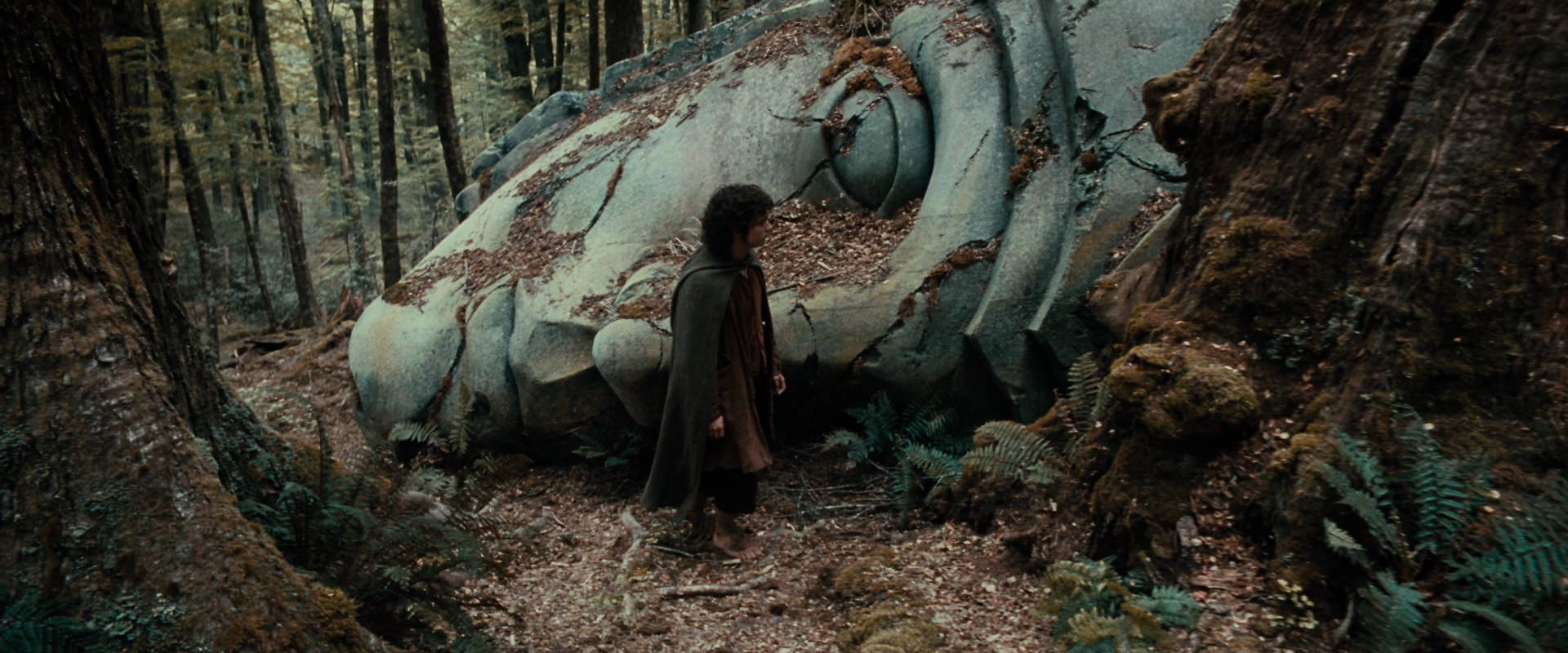 The Lord of the Rings: The Fellowship of the Ring (2001) movie still 21298