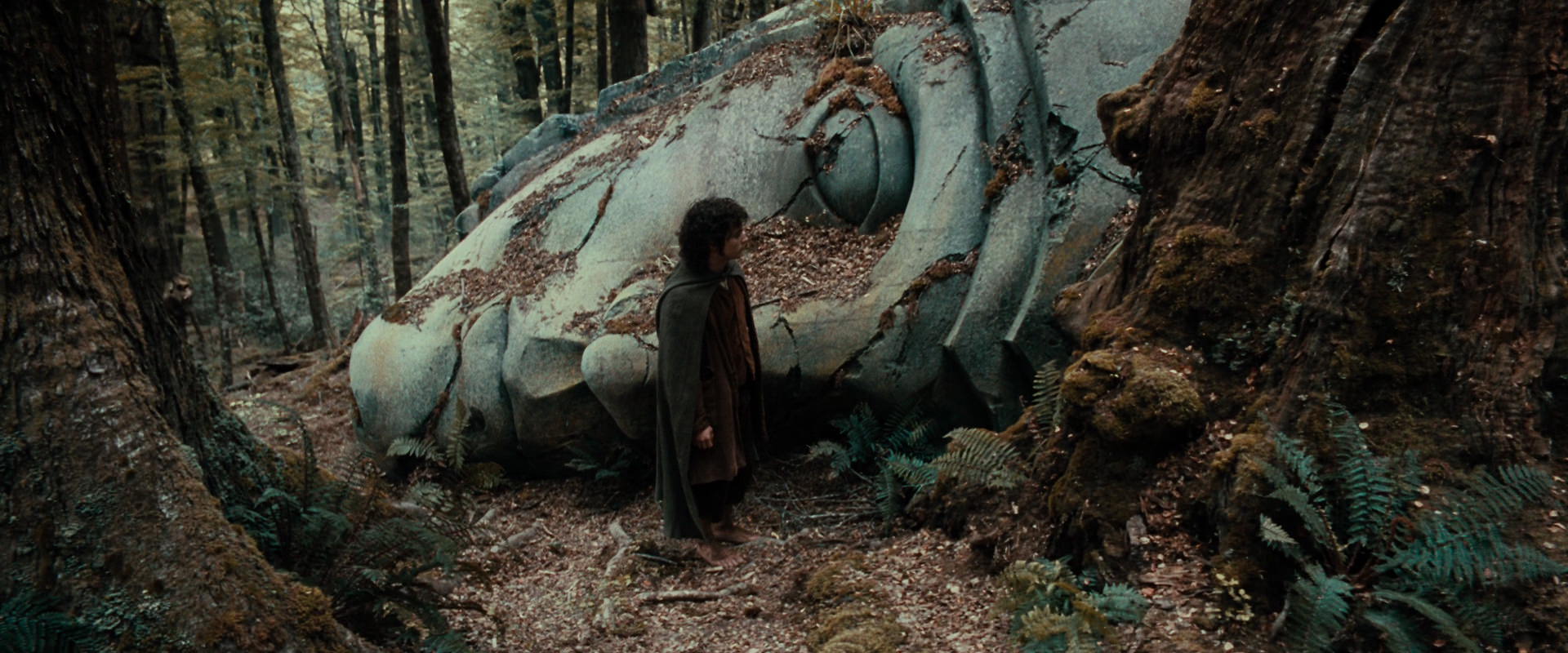 The Lord of the Rings: The Fellowship of the Ring (2001) HD screenshot 21299