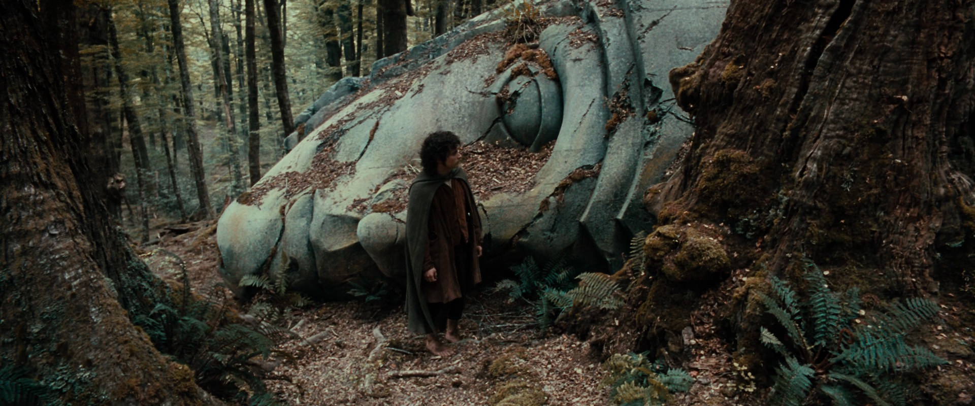 The Lord of the Rings: The Fellowship of the Ring (2001) screencap 21300