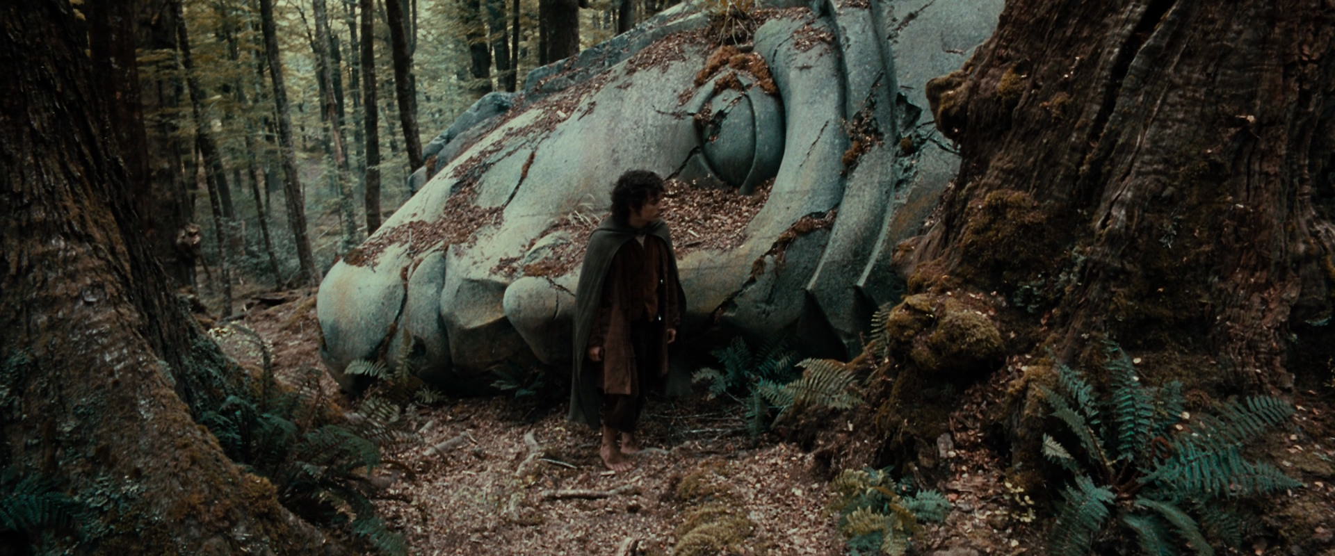 The Lord of the Rings: The Fellowship of the Ring (2001) movie still 21301