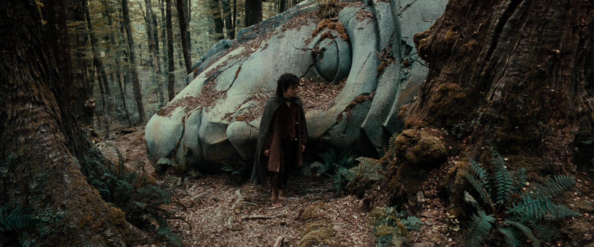 The Lord of the Rings: The Fellowship of the Ring (2001) HD screenshot 21302
