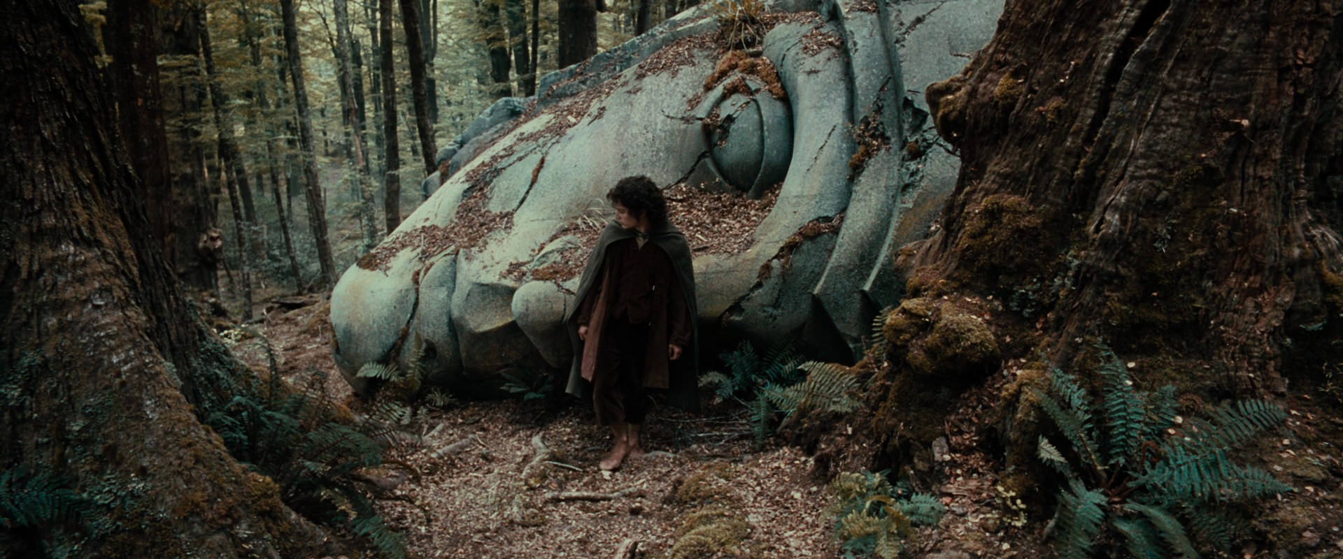 The Lord of the Rings: The Fellowship of the Ring (2001) movie still 21304