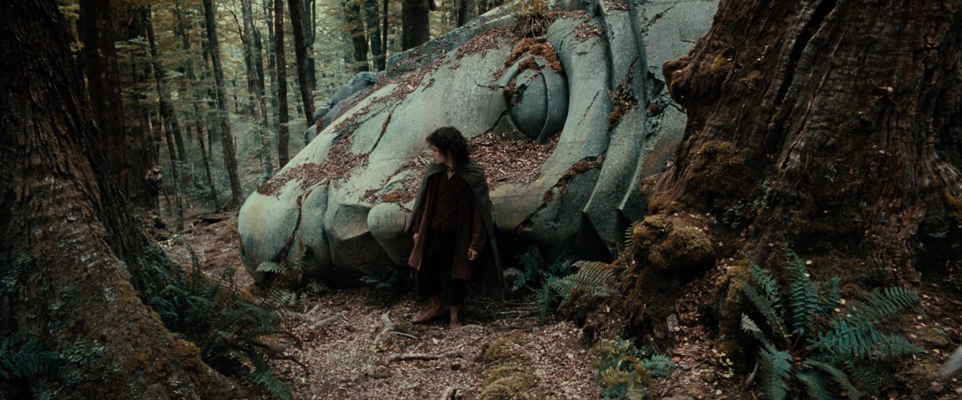 The Lord of the Rings: The Fellowship of the Ring (2001) HD screenshot 21305