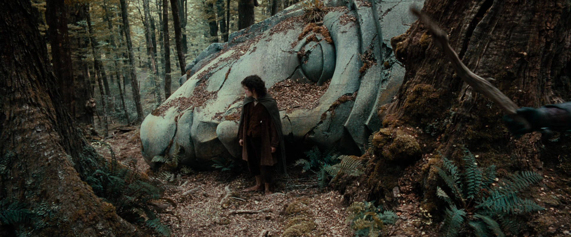 The Lord of the Rings: The Fellowship of the Ring (2001) screencap 21306