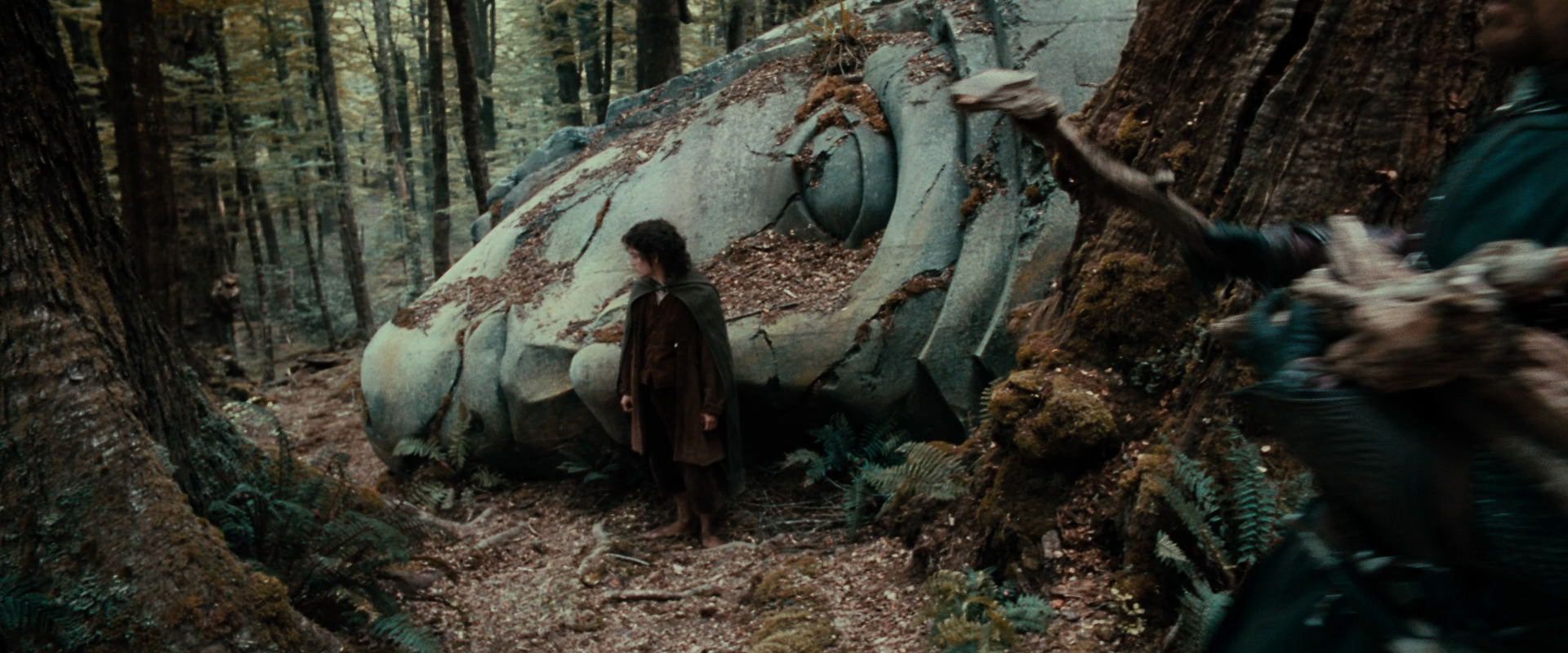 The Lord of the Rings: The Fellowship of the Ring (2001) movie still 21307