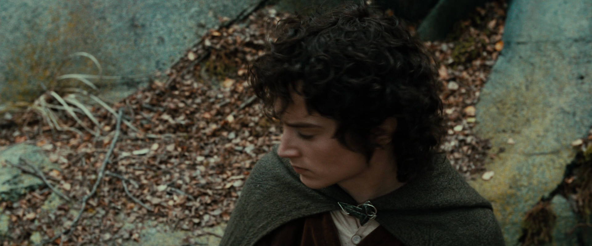 The Lord of the Rings: The Fellowship of the Ring (2001) HD screenshot 21308