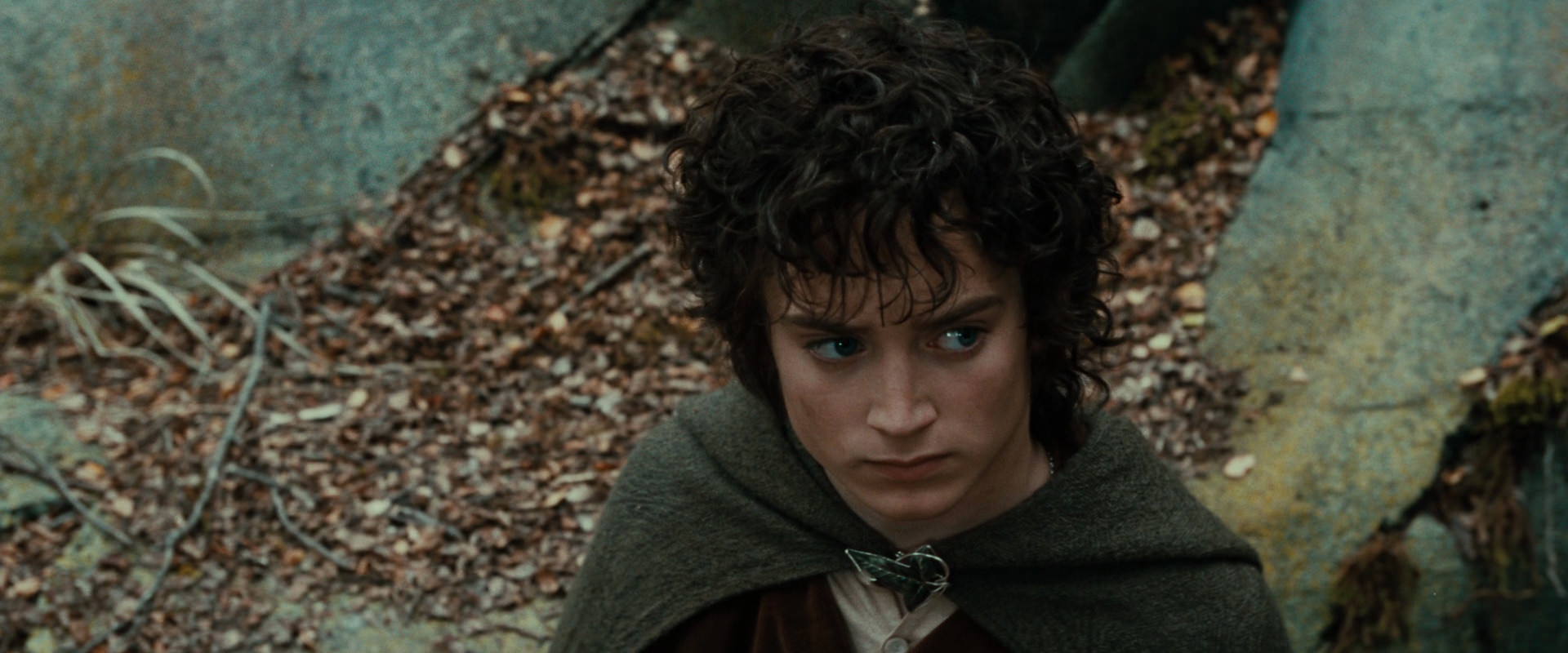 The Lord of the Rings: The Fellowship of the Ring (2001) screencap 21309