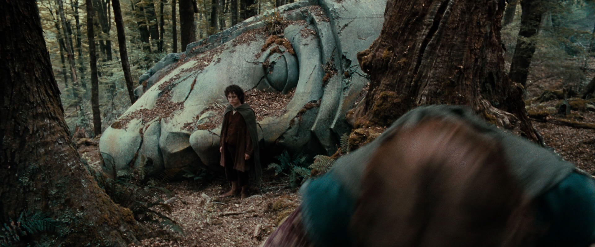 The Lord of the Rings: The Fellowship of the Ring (2001) movie still 21313