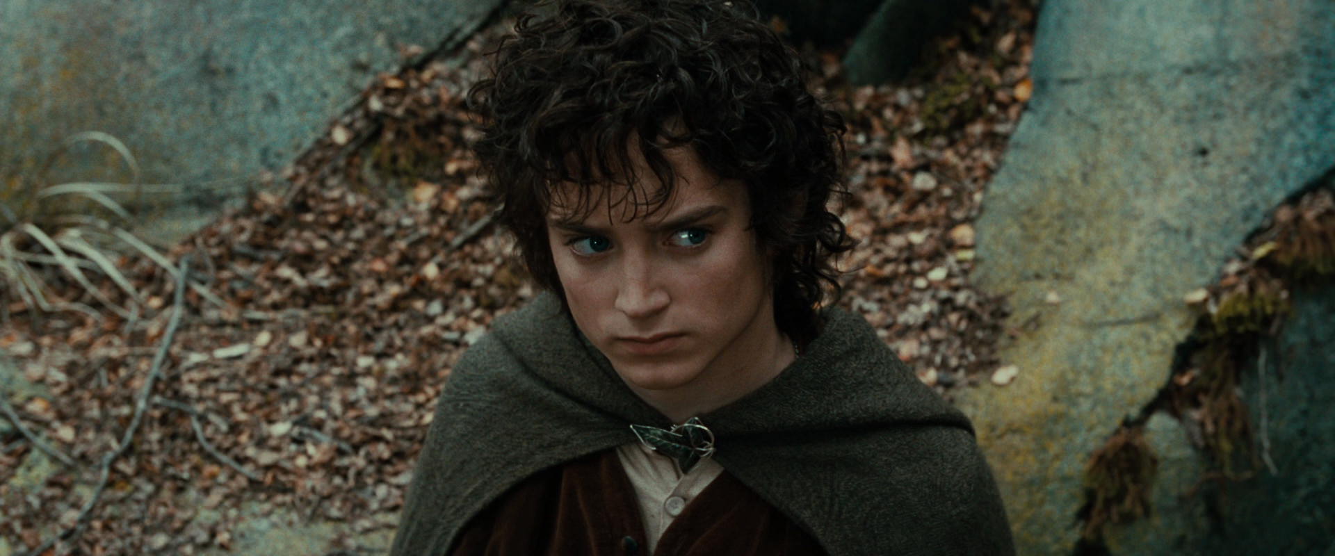 The Lord of the Rings: The Fellowship of the Ring (2001) HD screenshot 21314