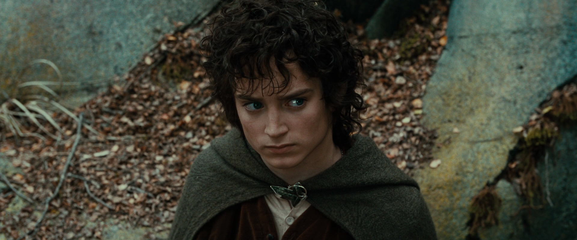 The Lord of the Rings: The Fellowship of the Ring (2001) screencap 21315