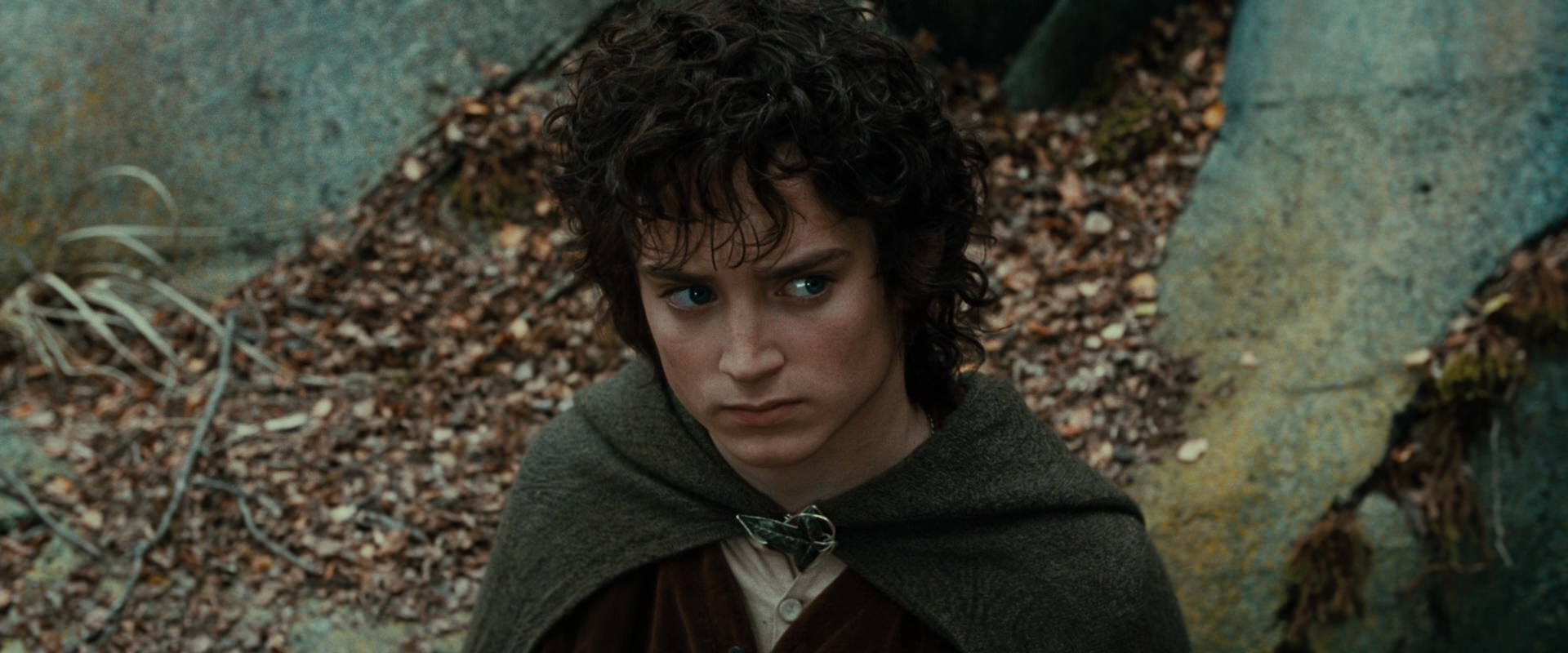 The Lord of the Rings: The Fellowship of the Ring (2001) movie still 21316