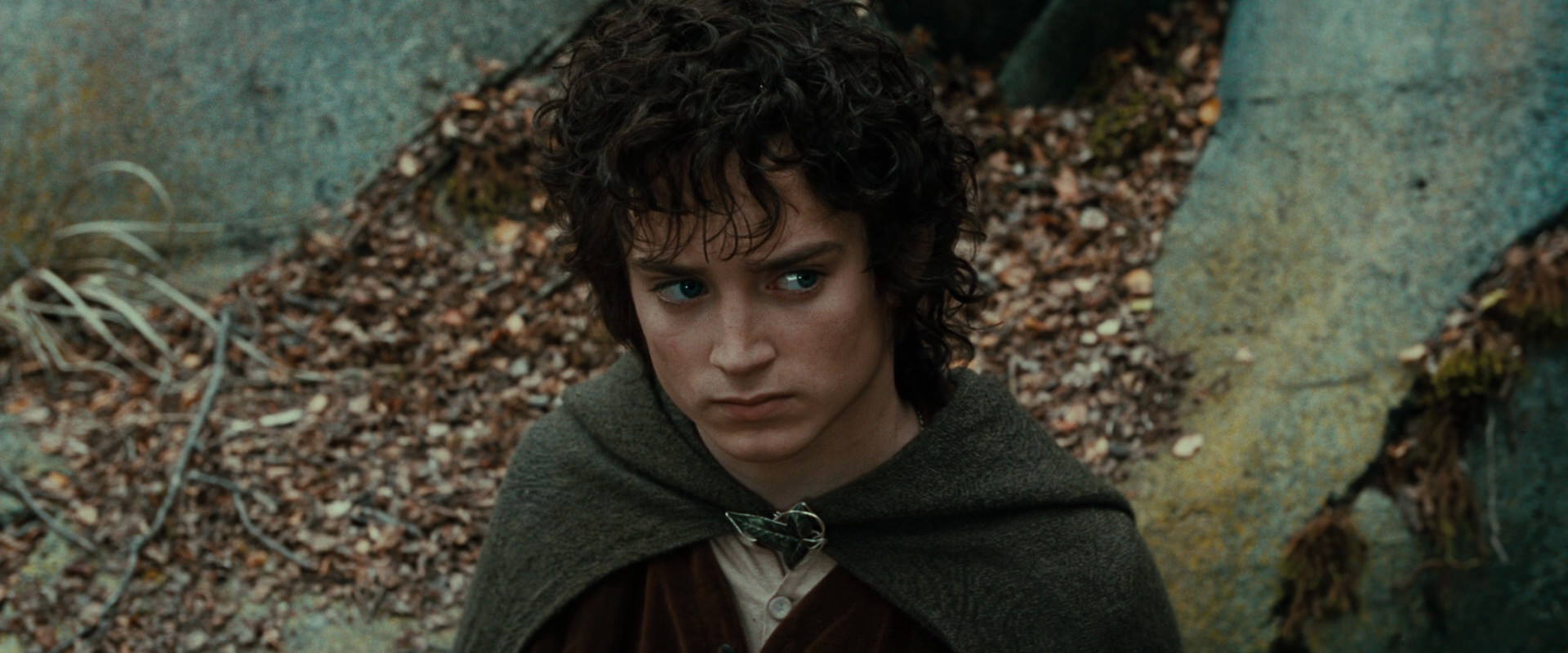 The Lord of the Rings: The Fellowship of the Ring (2001) HD screenshot 21317