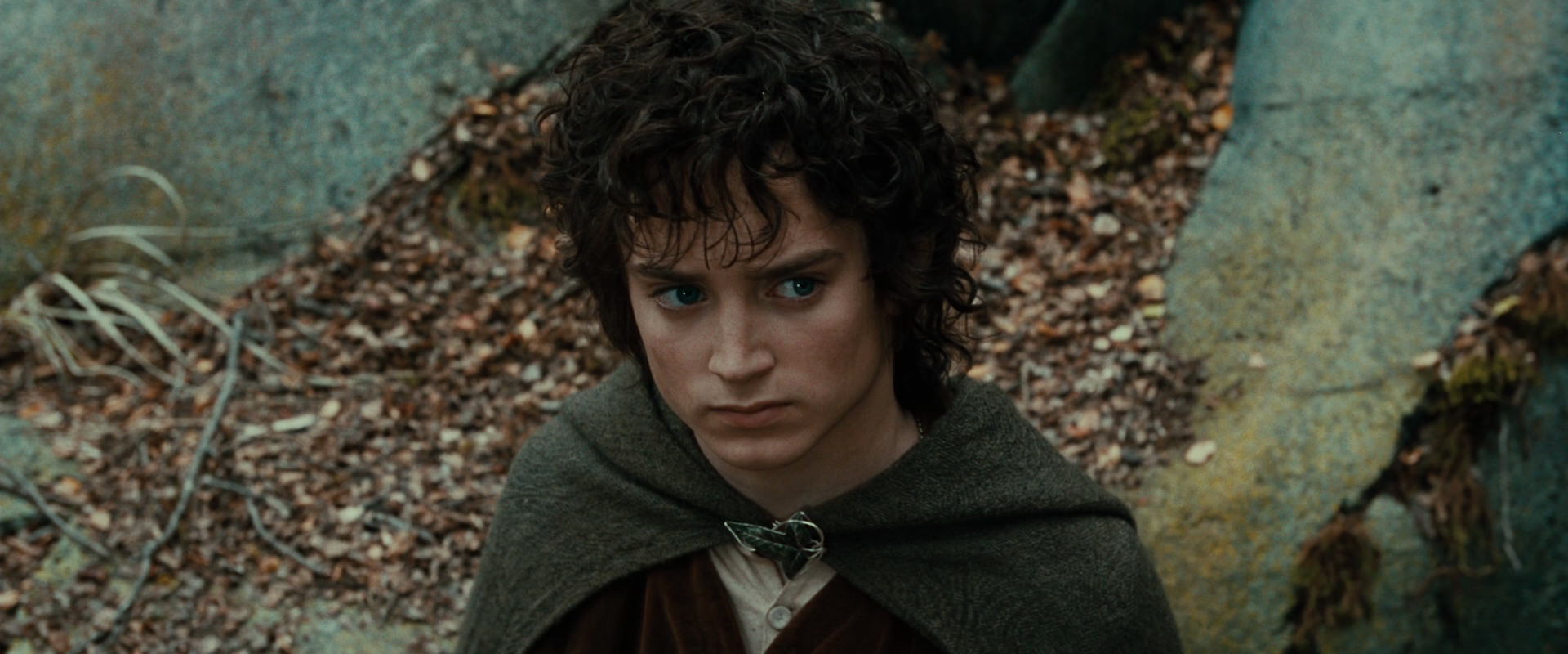 The Lord of the Rings: The Fellowship of the Ring (2001) movie still 21319
