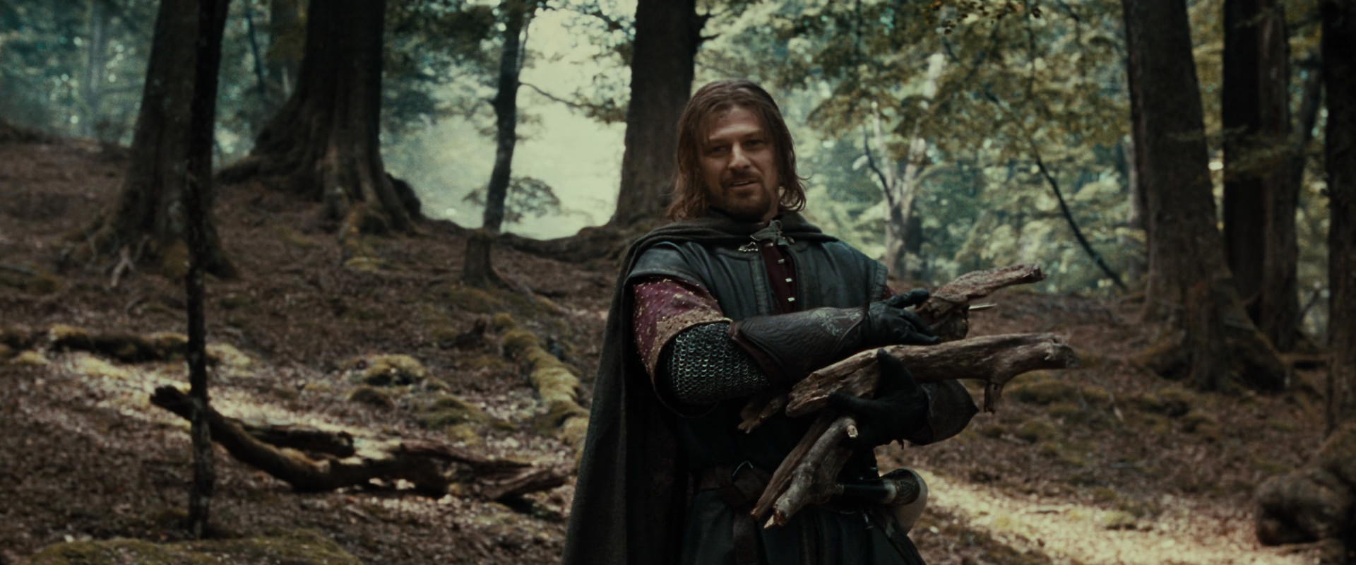 The Lord of the Rings: The Fellowship of the Ring (2001) HD screenshot 21320