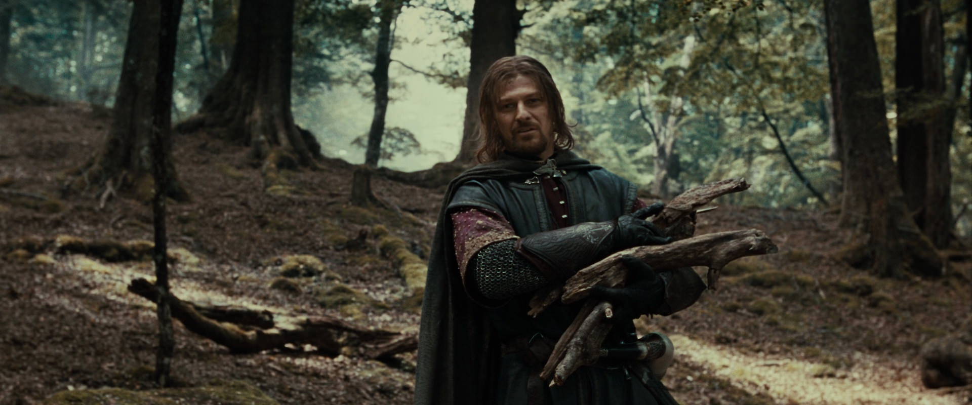 The Lord of the Rings: The Fellowship of the Ring (2001) screencap 21321