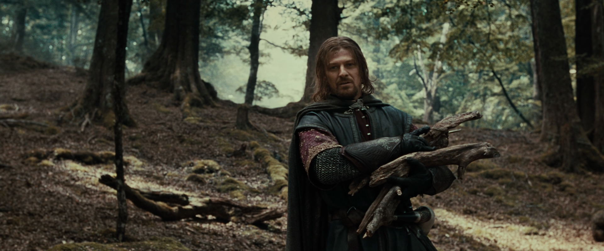 The Lord of the Rings: The Fellowship of the Ring (2001) HD screenshot 21323