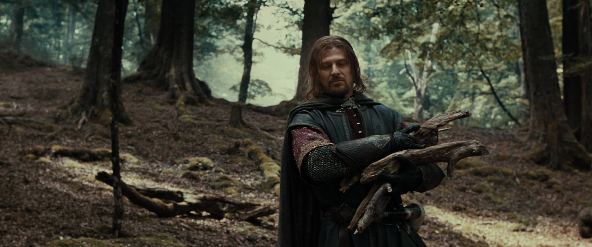 The Lord of the Rings: The Fellowship of the Ring (2001) screencap 21324