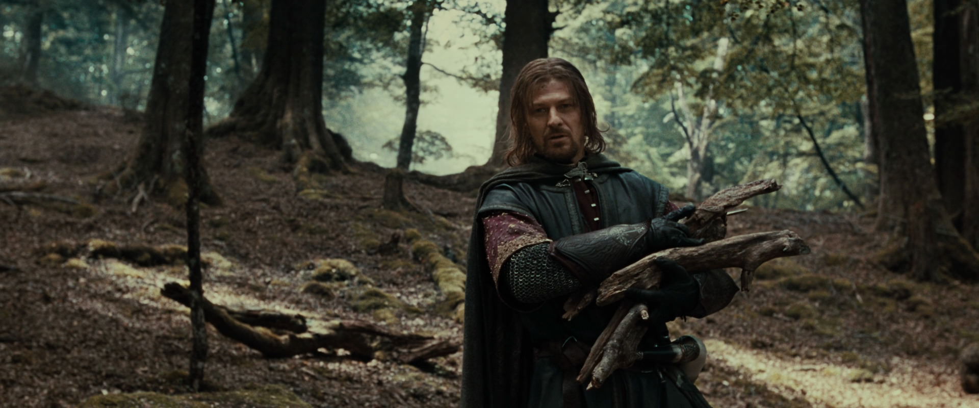 The Lord of the Rings: The Fellowship of the Ring (2001) movie still 21325