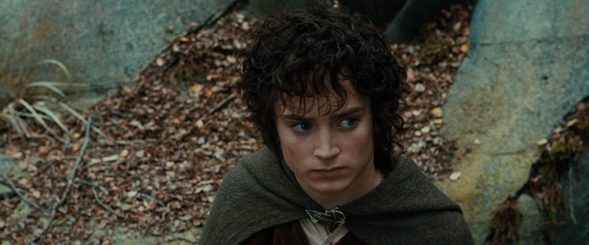 The Lord of the Rings: The Fellowship of the Ring (2001) HD screenshot 21326