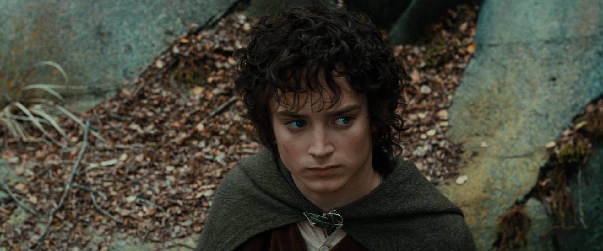 The Lord of the Rings: The Fellowship of the Ring (2001) screencap 21327