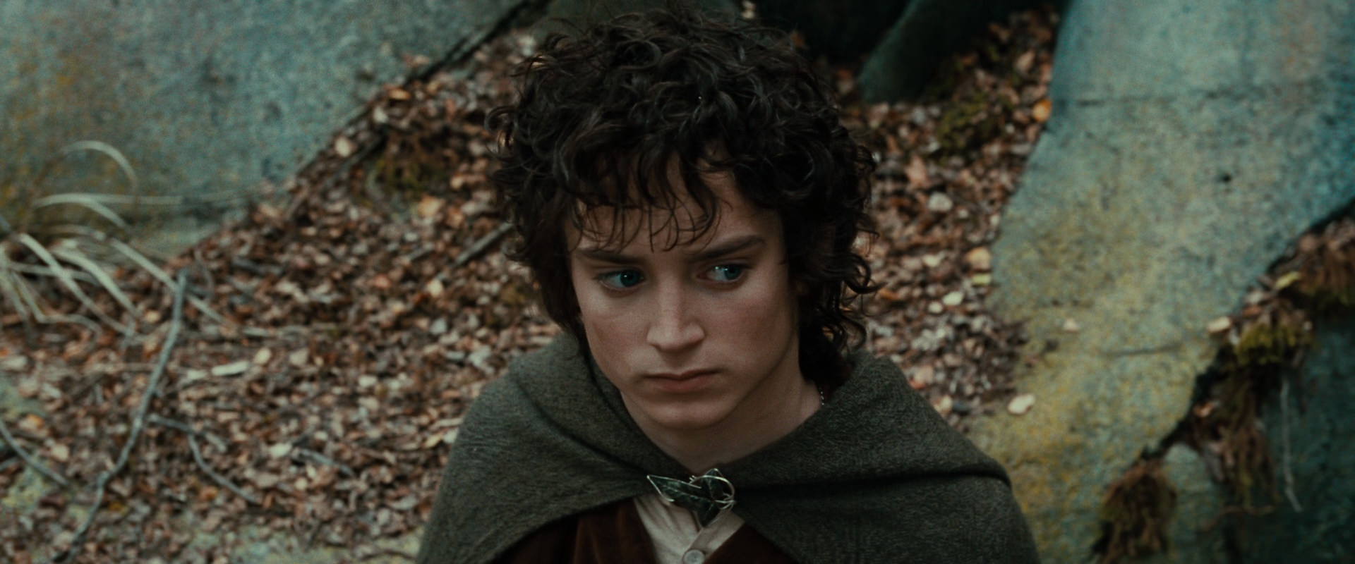 The Lord of the Rings: The Fellowship of the Ring (2001) movie still 21328
