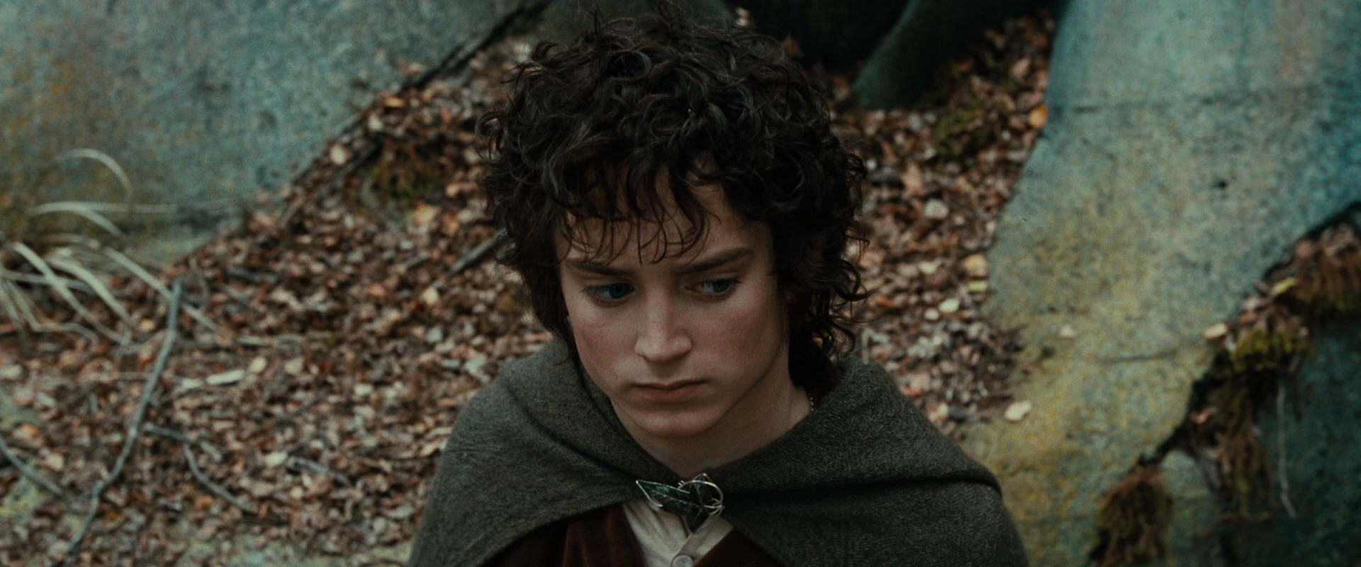 The Lord of the Rings: The Fellowship of the Ring (2001) HD screenshot 21329