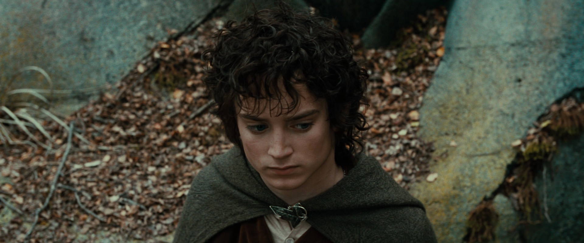 The Lord of the Rings: The Fellowship of the Ring (2001) screencap 21330