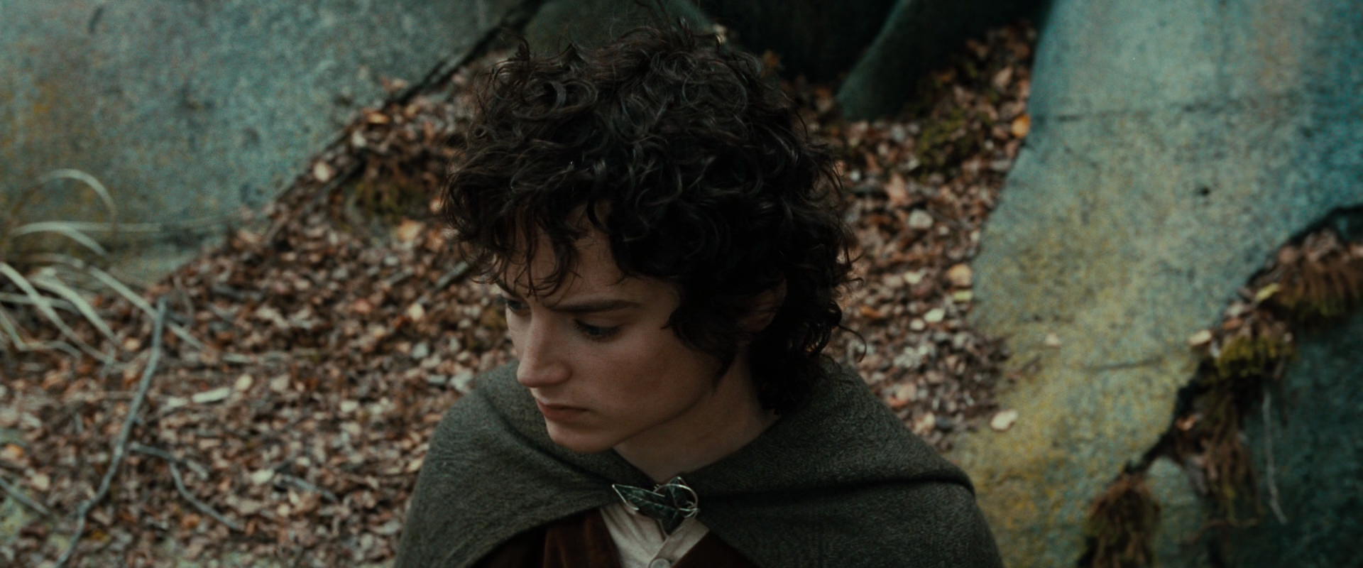 The Lord of the Rings: The Fellowship of the Ring (2001) HD screenshot 21332