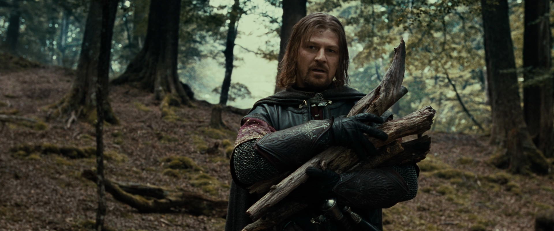 The Lord of the Rings: The Fellowship of the Ring (2001) screencap 21333