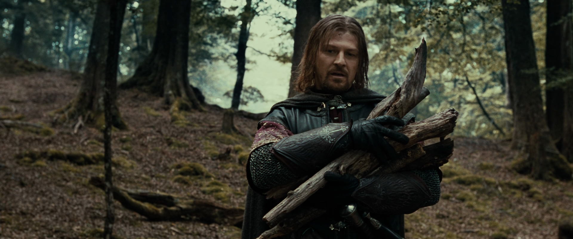 The Lord of the Rings: The Fellowship of the Ring (2001) movie still 21334