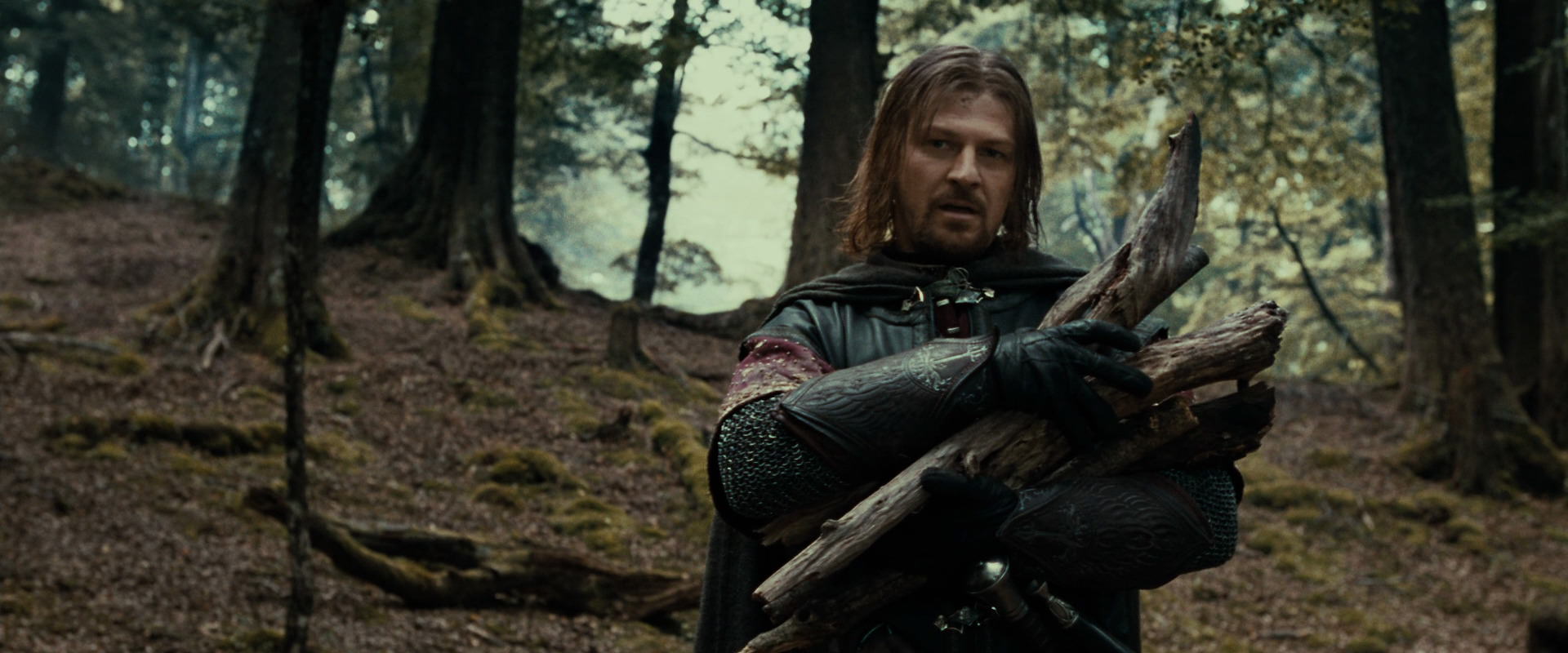 The Lord of the Rings: The Fellowship of the Ring (2001) HD screenshot 21335