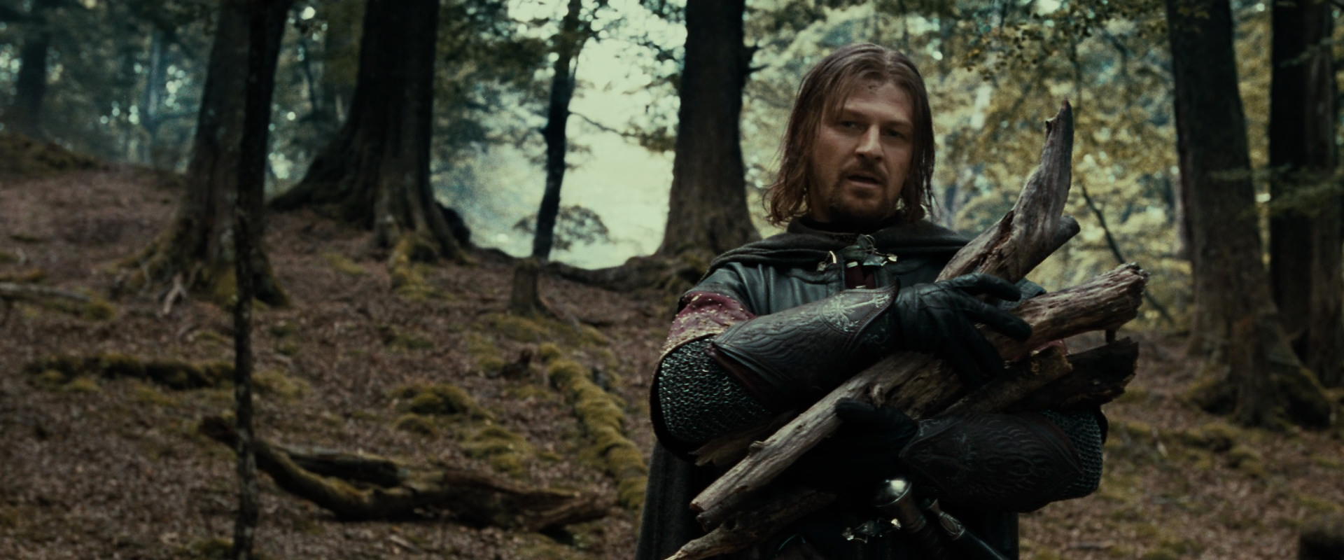 The Lord of the Rings: The Fellowship of the Ring (2001) screencap 21336