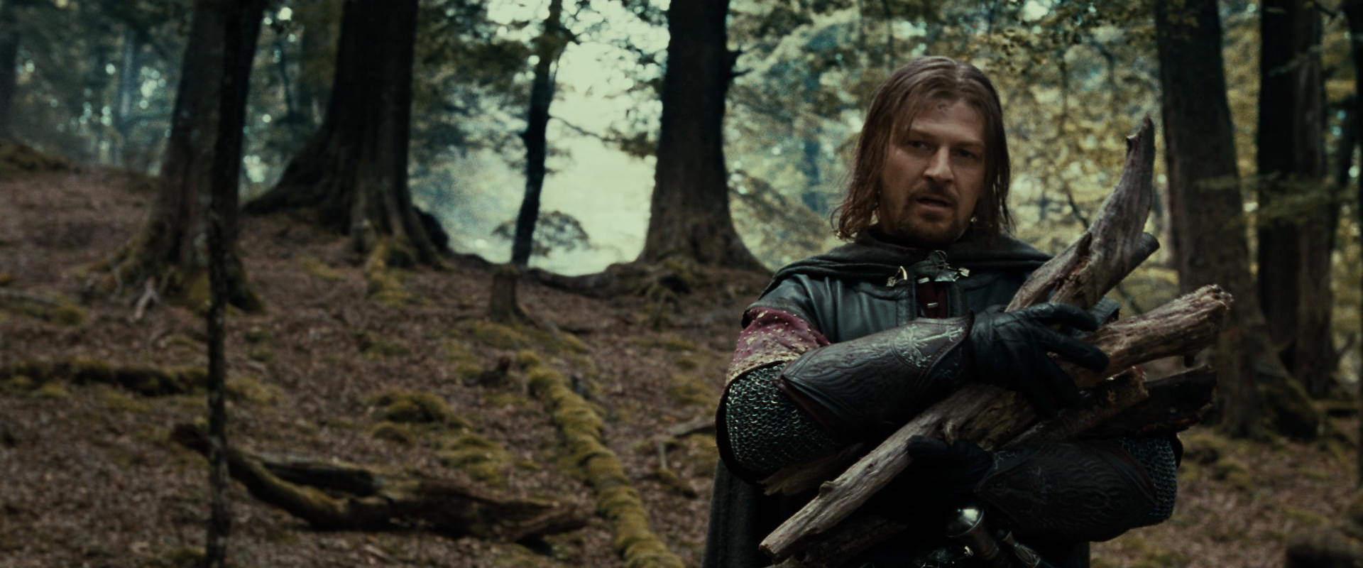 The Lord of the Rings: The Fellowship of the Ring (2001) movie still 21337