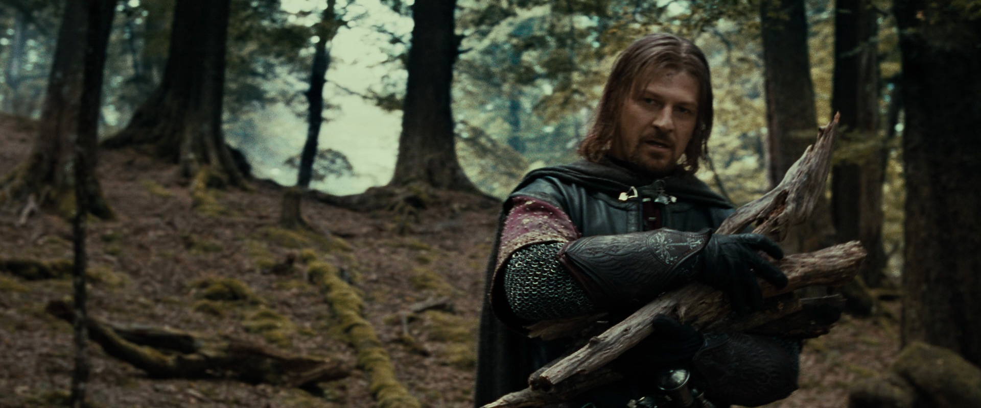 The Lord of the Rings: The Fellowship of the Ring (2001) HD screenshot 21338