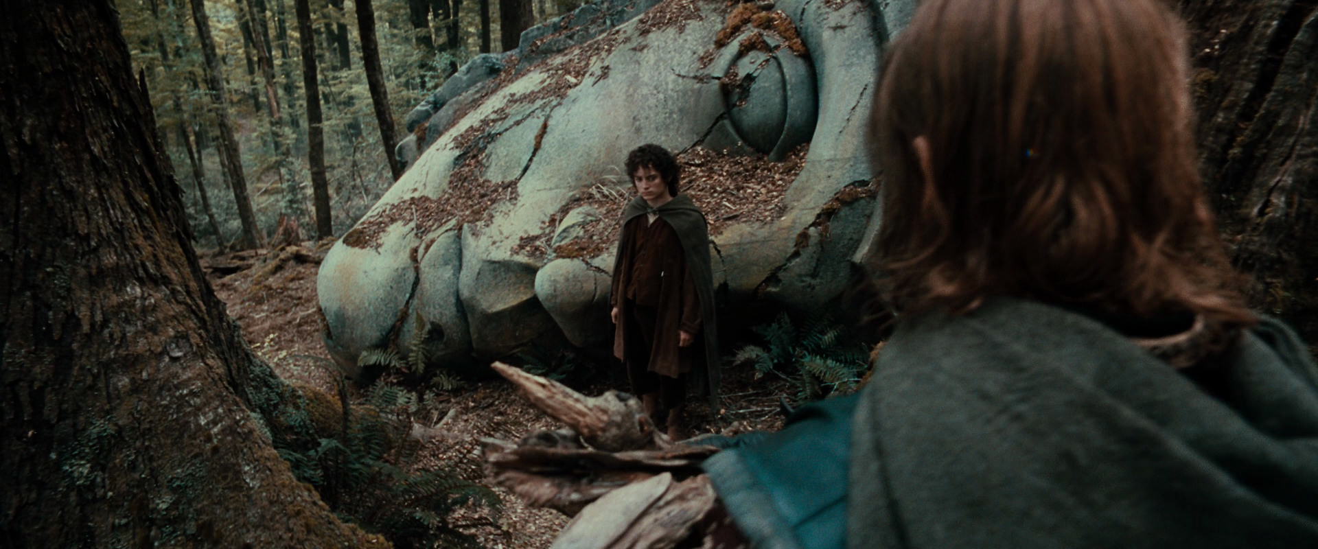 The Lord of the Rings: The Fellowship of the Ring (2001) screencap 21339