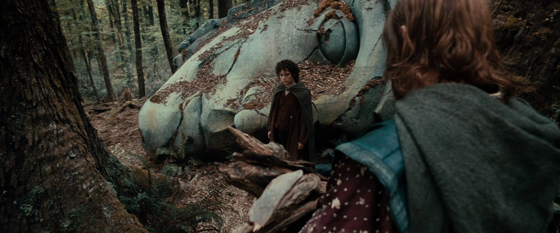 The Lord of the Rings: The Fellowship of the Ring (2001) movie still 21340