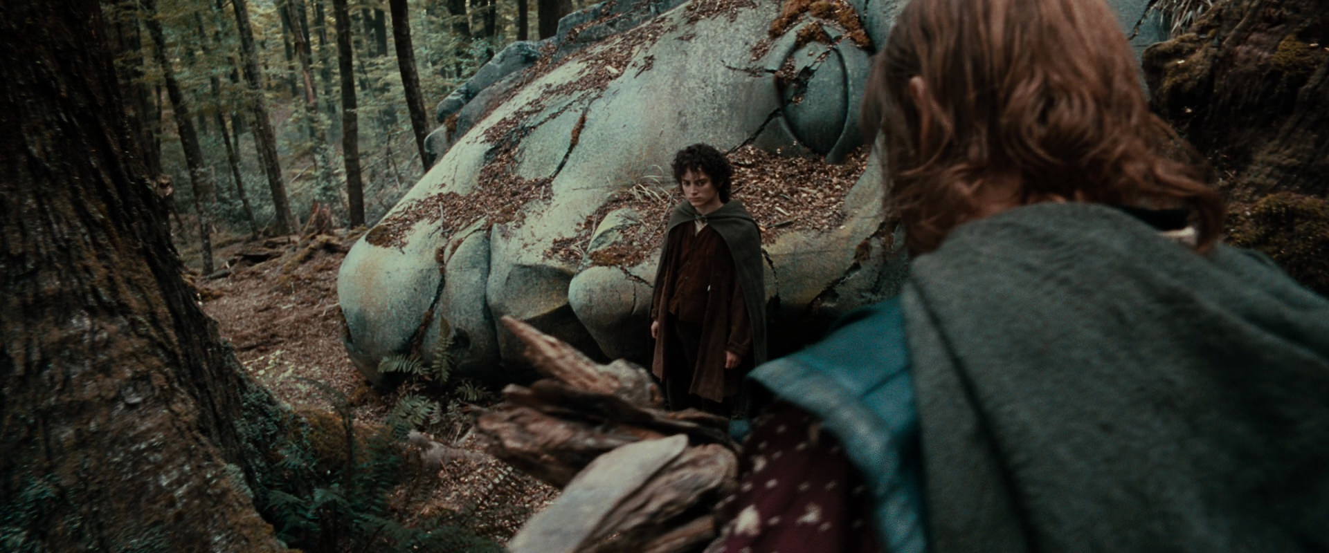 The Lord of the Rings: The Fellowship of the Ring (2001) HD screenshot 21341
