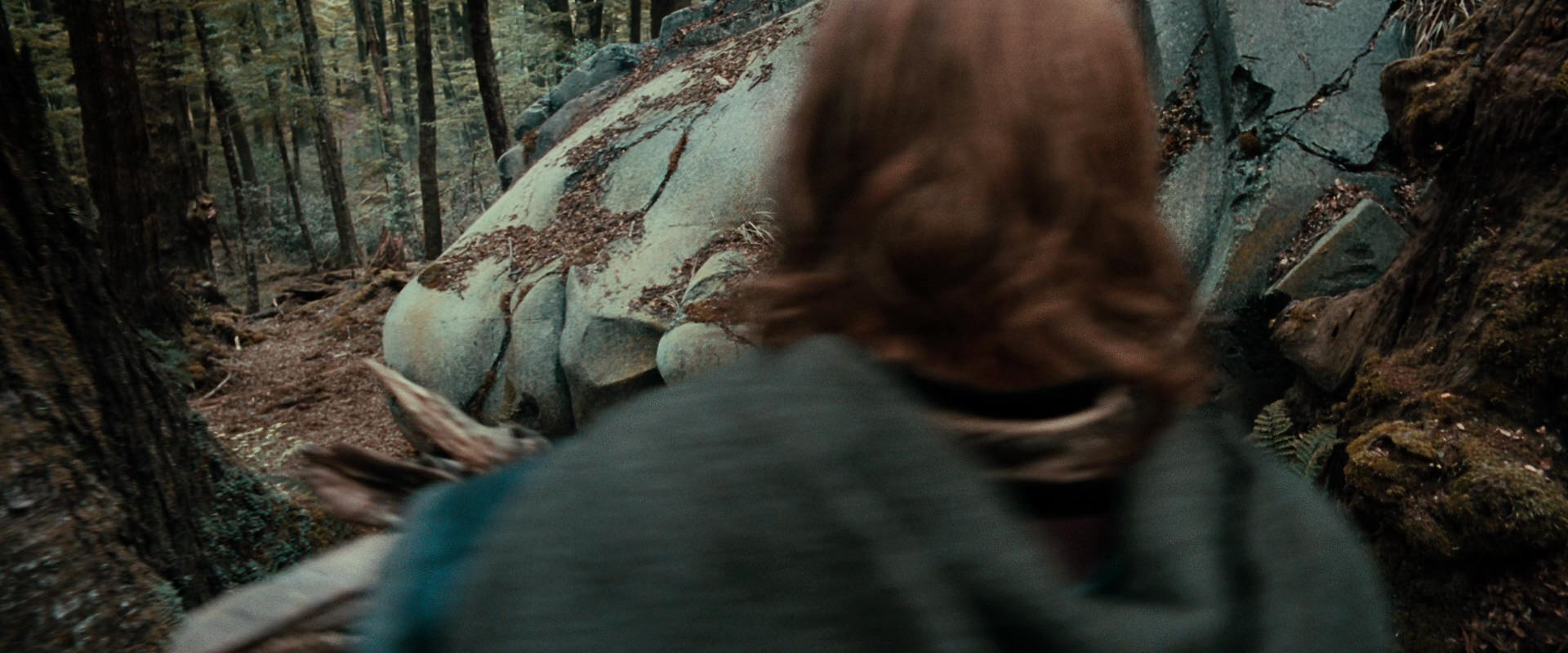 The Lord of the Rings: The Fellowship of the Ring (2001) screencap 21342